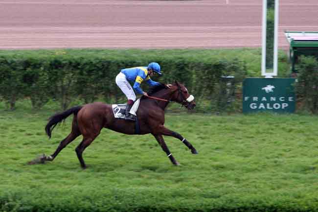 Arrivée quinté pmu PRIX D'ARTIXAGUE à ENGHIEN