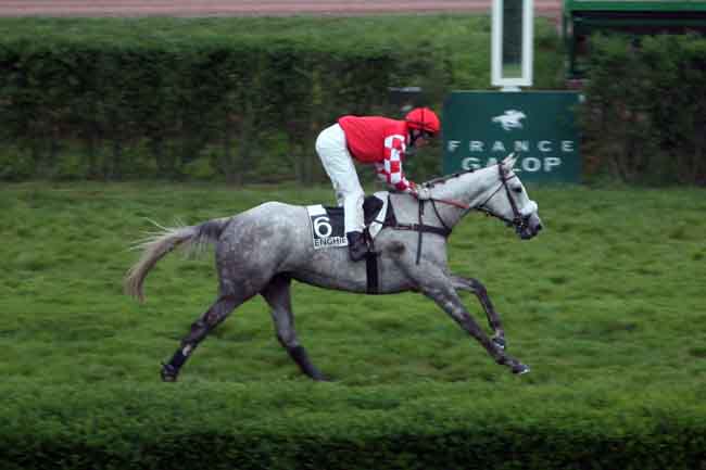Arrivée quinté pmu PRIX RADIO PARIS à ENGHIEN