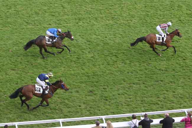 Arrivée quinté pmu PRIX PANSA à AUTEUIL