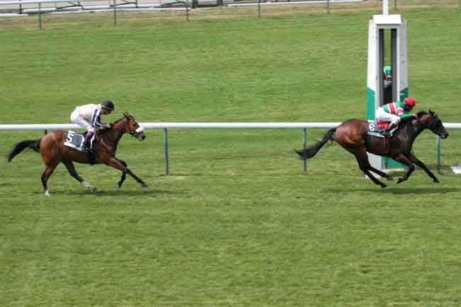 Arrivée quinté pmu PX BEACHCOMBER HOTELS LE PARADIS *****LUXE (PX DE MONDOVI) à LONGCHAMP