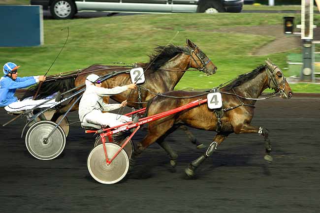 Arrivée quinté pmu PRIX SIRONE à PARIS-VINCENNES