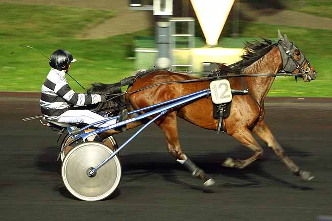 Arrivée quinté pmu PRIX ARACHNE à PARIS-VINCENNES