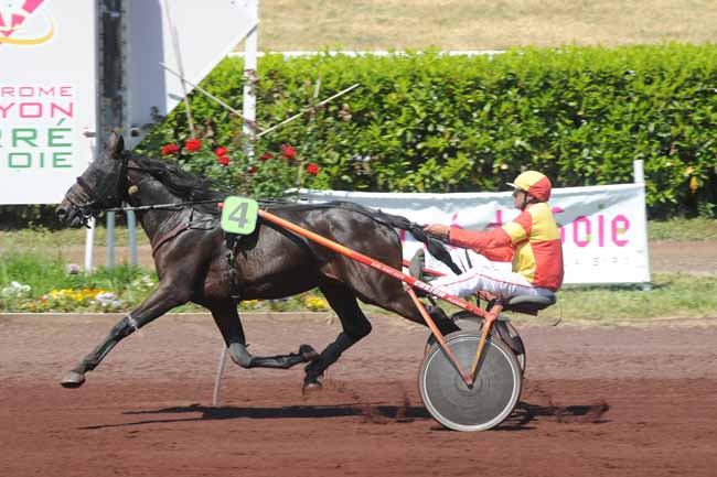 Arrivée quinté pmu GRAND PRIX DU CARRE DE SOIE à LYON LA SOIE