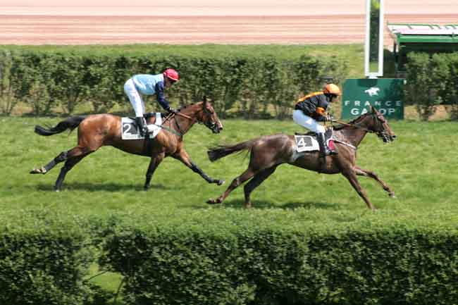 Arrivée quinté pmu PRIX REVENGE à ENGHIEN