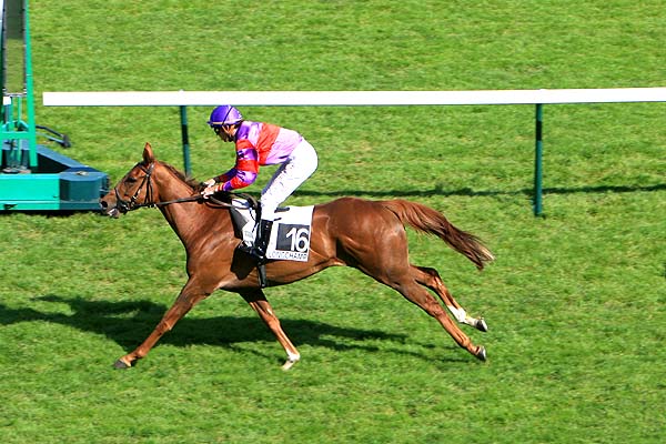 Arrivée quinté pmu PRIX DE GARCHES à LONGCHAMP