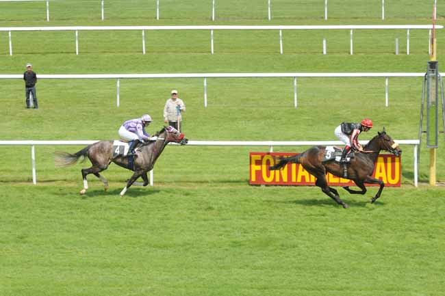 Arrivée quinté pmu PRIX BANGO à FONTAINEBLEAU