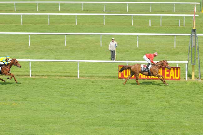Arrivée quinté pmu PRIX DES ARBUSTES à FONTAINEBLEAU