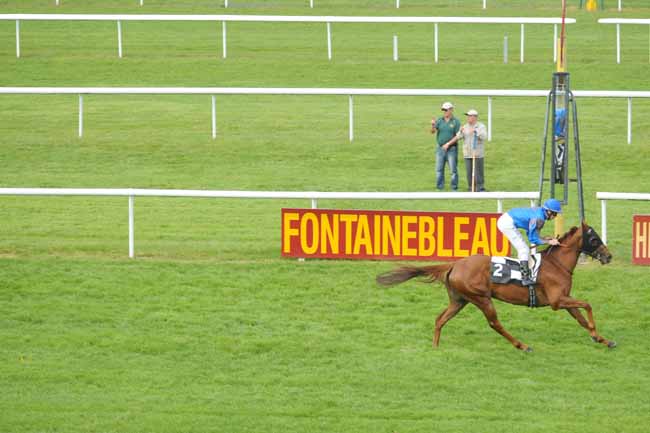 Arrivée quinté pmu PRIX DES HAUTEURS DE LA SOLLE à FONTAINEBLEAU