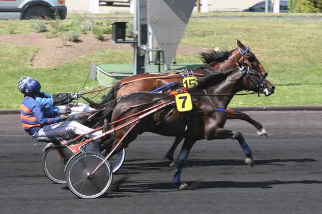 Arrivée quinté pmu CRITERIUM DES 4 ANS à PARIS-VINCENNES