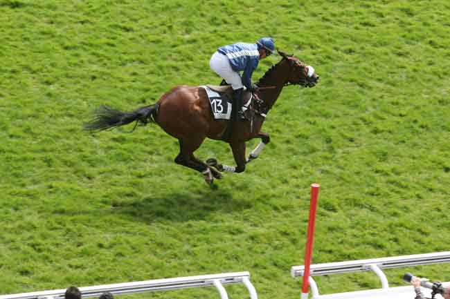 Arrivée quinté pmu PRIX WILD MONARCH (POULAINS) GRA à AUTEUIL