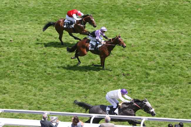 Arrivée quinté pmu PRIX WILD MONARCH (POULAINS) GRB à AUTEUIL