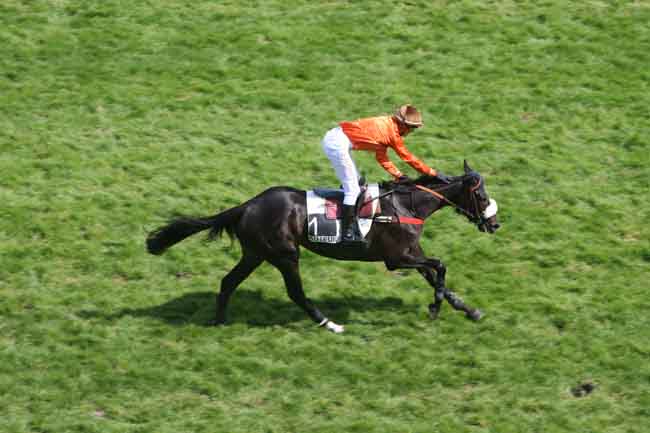 Arrivée quinté pmu PRIX GIROFLA à AUTEUIL