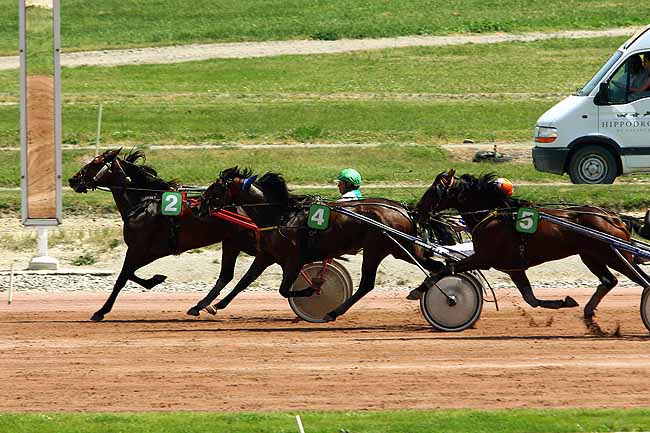 Arrivée quinté pmu PRIX CITROEN GROUPE DALLARD à TOULOUSE