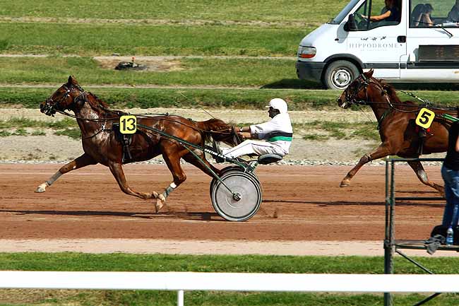 Arrivée quinté pmu PRIX DE LA SOCIETE DES COURSES DE TOULOUSE à TOULOUSE