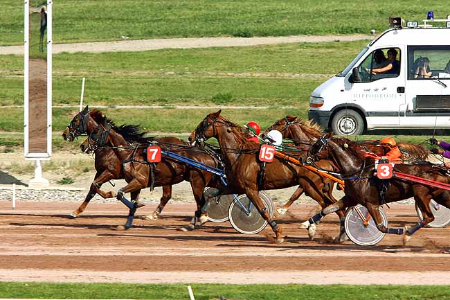 Arrivée quinté pmu PRIX DU CONSEIL REGIONAL à TOULOUSE