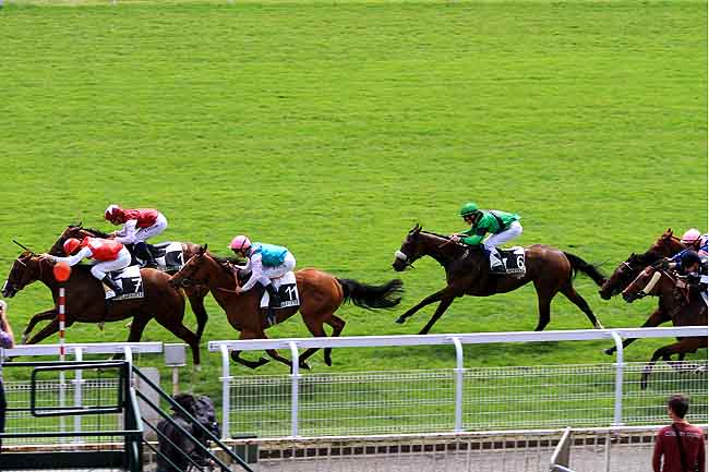 Arrivée quinté pmu PRIX LE POMPON à MAISONS-LAFFITTE