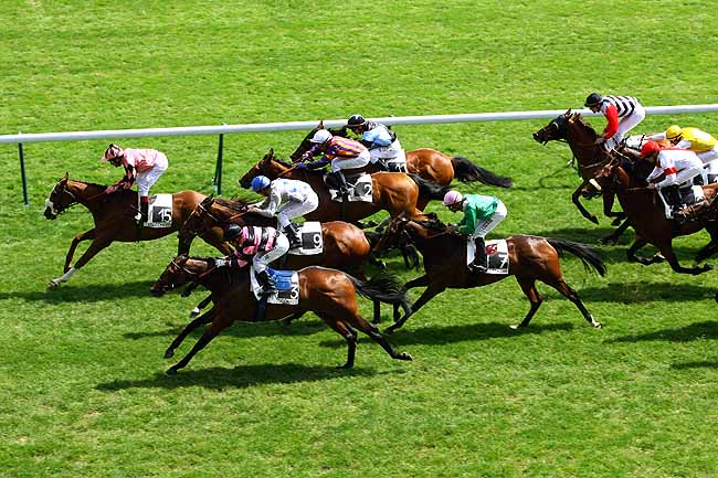 Arrivée quinté pmu PRIX DU PONT DE FLANDRE à LONGCHAMP