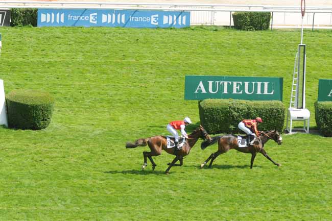 Arrivée quinté pmu PRIX REGALIA à AUTEUIL