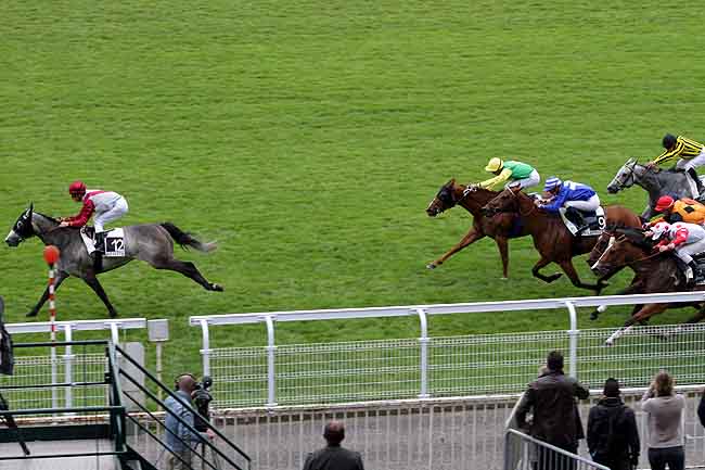 Arrivée quinté pmu PRIX D'ALSACE à MAISONS-LAFFITTE