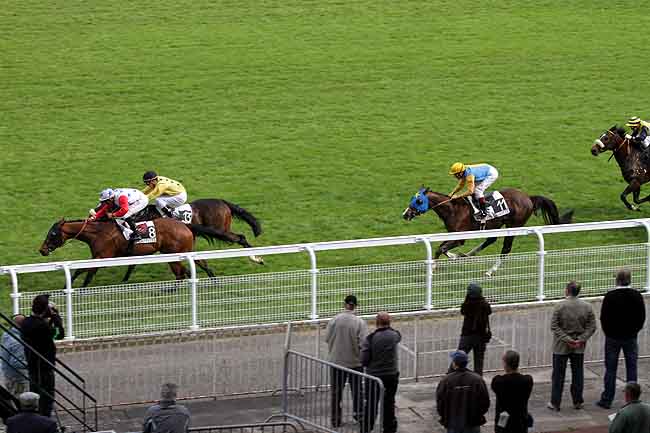 Arrivée quinté pmu PRIX DE LORRAINE à MAISONS-LAFFITTE