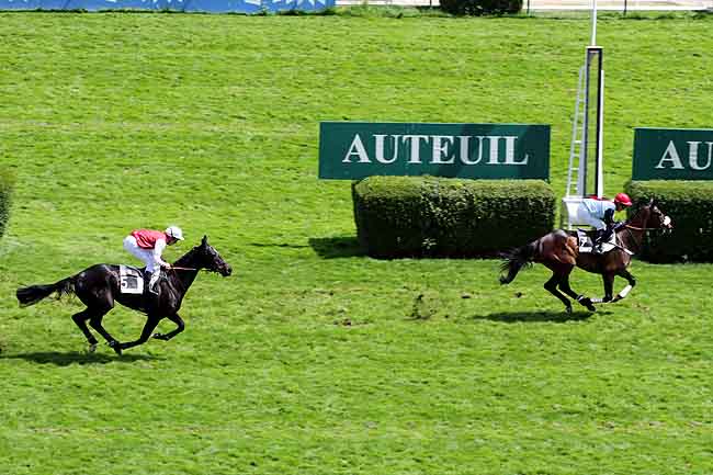 Arrivée quinté pmu PRIX SAMOUR à AUTEUIL