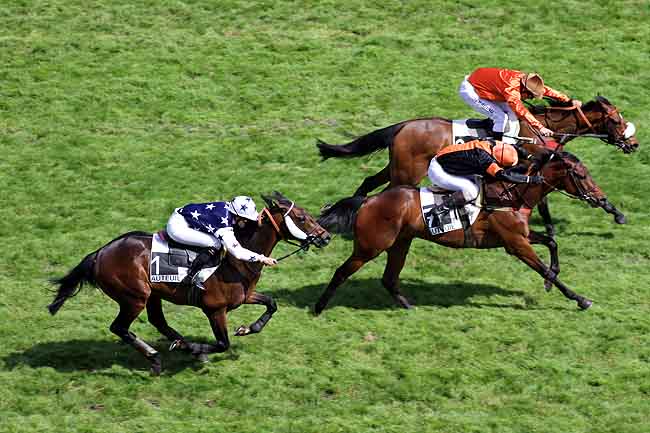 Arrivée quinté pmu PRIX GALAFRON à AUTEUIL