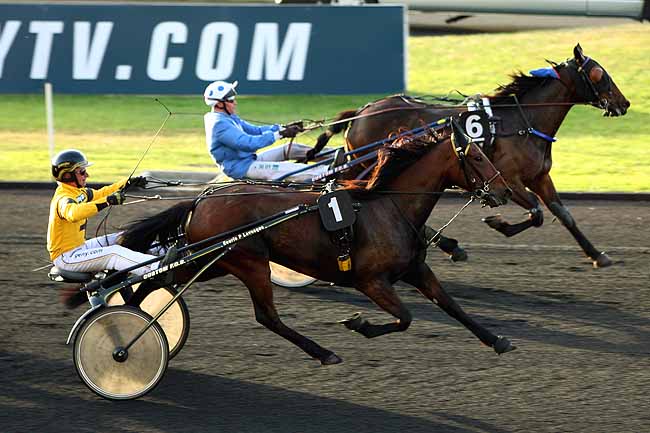 Arrivée quinté pmu PRIX FIDES à PARIS-VINCENNES