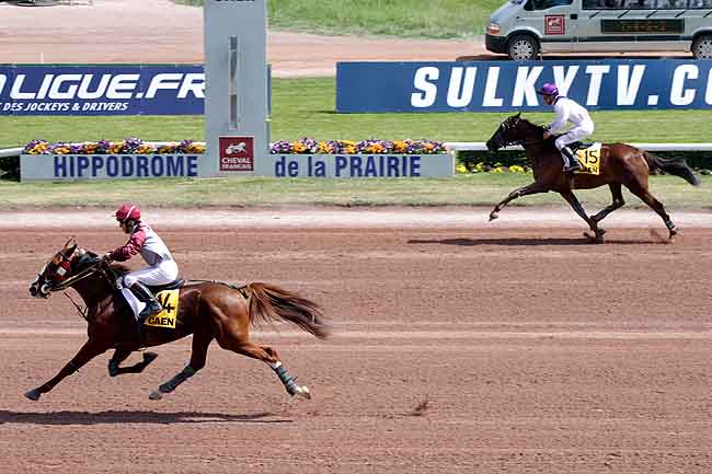 Arrivée quinté pmu SAINT-LEGER DES TROTTEURS à CAEN
