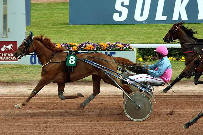 Arrivée quinté pmu PRIX DE ROMIGNY à CAEN