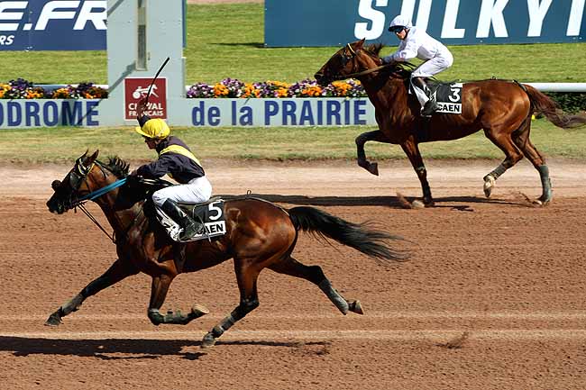 Arrivée quinté pmu PRIX DU CALVADOS à CAEN