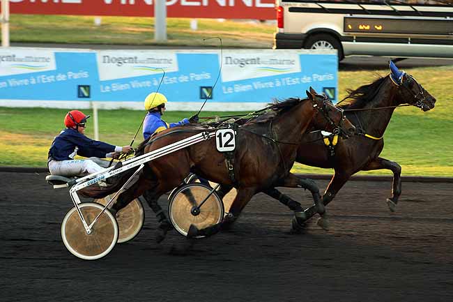 Arrivée quinté pmu PRIX ABUNDANTIA à PARIS-VINCENNES
