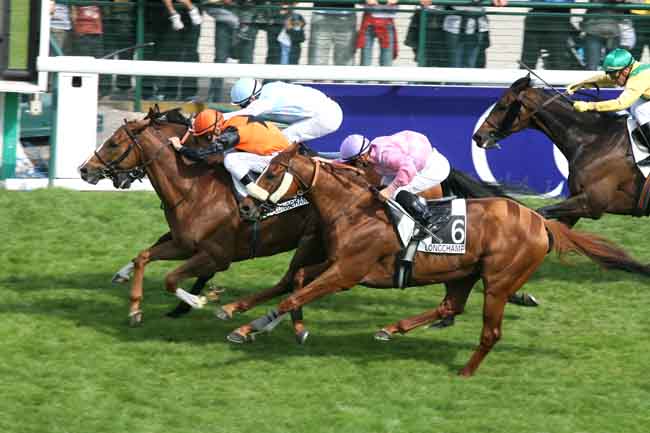 Arrivée quinté pmu PRIX DU VIEUX COLOMBIER à LONGCHAMP