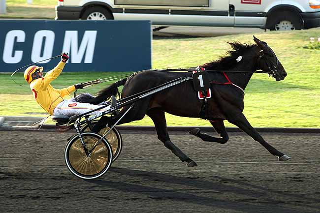 Arrivée quinté pmu PRIX CAMILLA à PARIS-VINCENNES