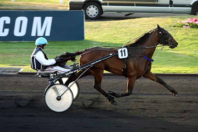 Arrivée quinté pmu PRIX KALMIA à PARIS-VINCENNES