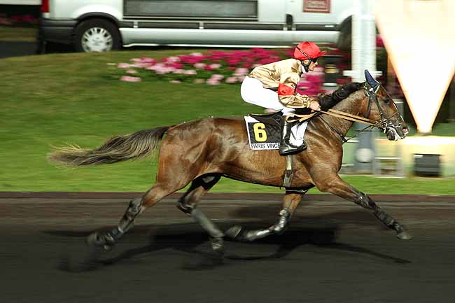 Arrivée quinté pmu PRIX KLYTAEMNESTRE à PARIS-VINCENNES