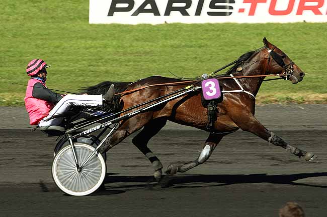 Arrivée quinté pmu PRIX LEOPOLD VERROKEN à LE CROISE-LAROCHE