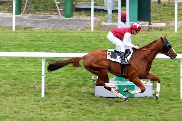 Arrivée quinté pmu PRIX AMOUR DRAKE à SAINT-CLOUD