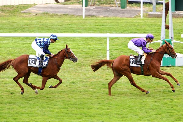 Arrivée quinté pmu PRIX DE RUEIL à SAINT-CLOUD