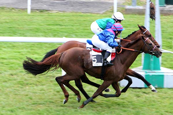 Arrivée quinté pmu PRIX DU MESNIL-VILLEMENT à SAINT-CLOUD