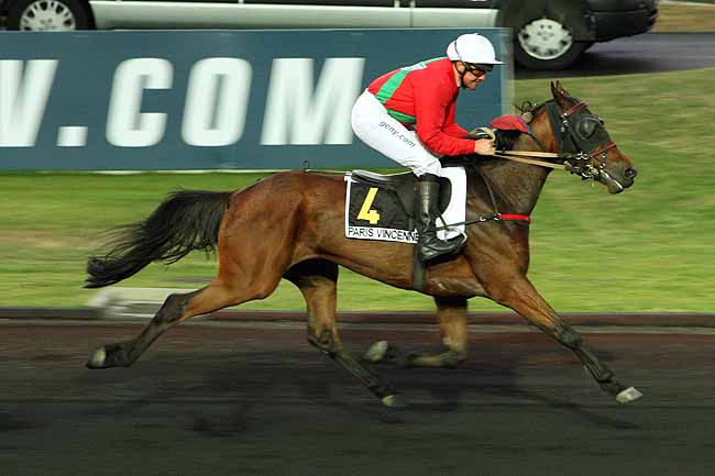 Arrivée quinté pmu PRIX EQUIANDLOVE (PRIX NIOBE) à PARIS-VINCENNES