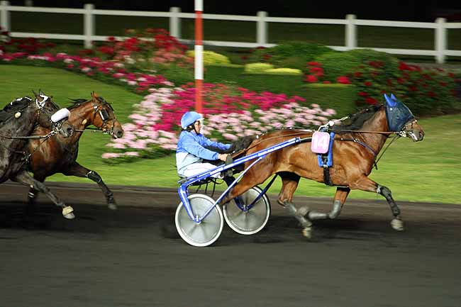 Arrivée quinté pmu PRIX CHALDAEA à PARIS-VINCENNES