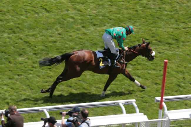 Arrivée quinté pmu GRAS SAVOYE AFRIQUE/OCEAN INDIEN (PRIX STANLEY) à AUTEUIL