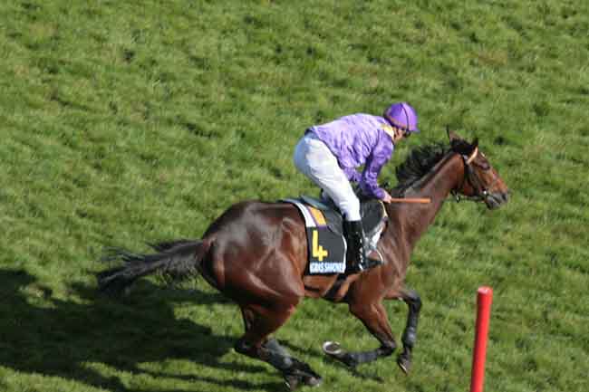 Arrivée quinté pmu GRAS SAVOYE EUROPE/ASIE (PRIX DE LONGCHAMP) à AUTEUIL