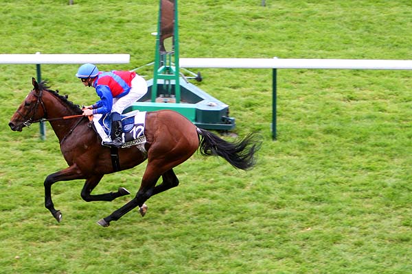 Arrivée quinté pmu PRIX DE LA BIEVRE à LONGCHAMP