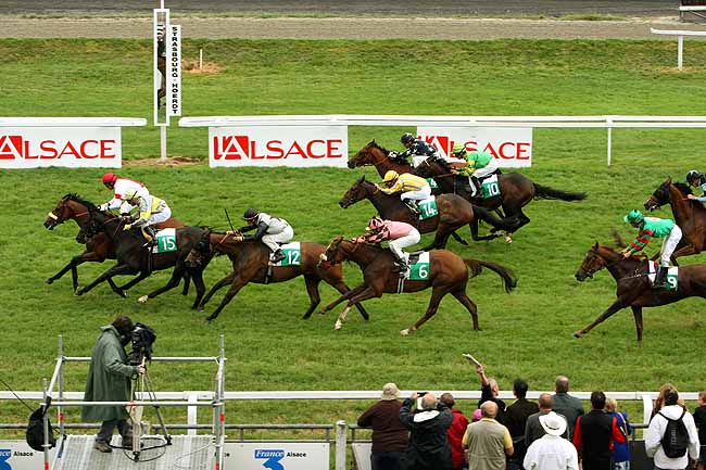 Arrivée quinté pmu PRIX DU JOURNAL L'ALSACE à STRASBOURG