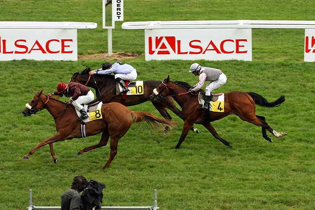 Arrivée quinté pmu PRIX DU JAZZ à STRASBOURG