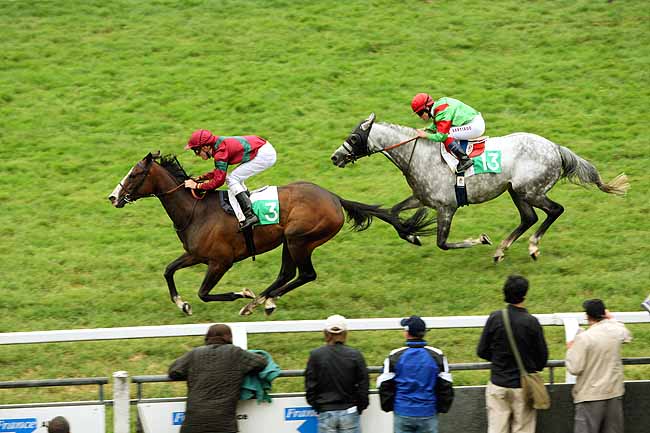 Arrivée quinté pmu PRIX DE LA VILLE DE STRASBOURG à STRASBOURG