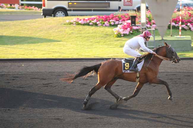 Arrivée quinté pmu PRIX VICTOR CAVEY à PARIS-VINCENNES
