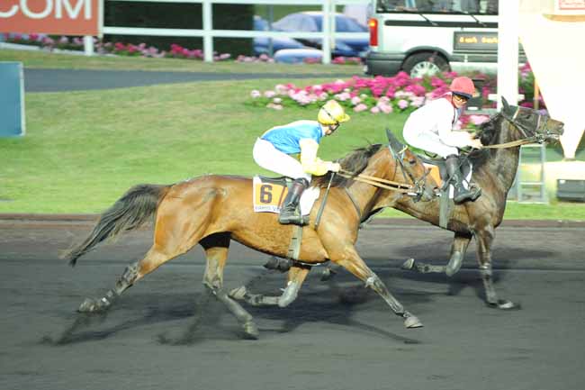 Arrivée quinté pmu PRIX BUDROSA à PARIS-VINCENNES