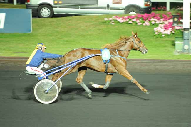 Arrivée quinté pmu PRIX TALITHA à PARIS-VINCENNES